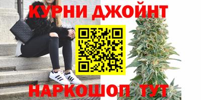 прущие грибы Тара